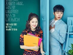 Drama Korea Introverted Boss (2017) Subtitle Indonesia