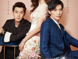 Drama China Well Intended Love Season 2 Subtitle Indonesia