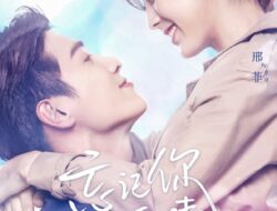 Drama China Forget You Remember Love Subtitle Indonesia