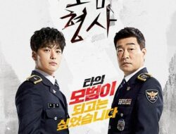 Drama Korea The Good Detective Subtitle Indonesia