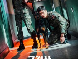Drama Korea Military Prosecutor Doberman Episode 16 Subtitle Indonsia
