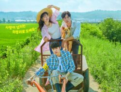 Download Drama Korea Once Upon a Small Town Episode 12 Subtitle Indonesia