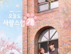 Download Drama Korea A Good Day to Be a Dog Subtitle Indonesia